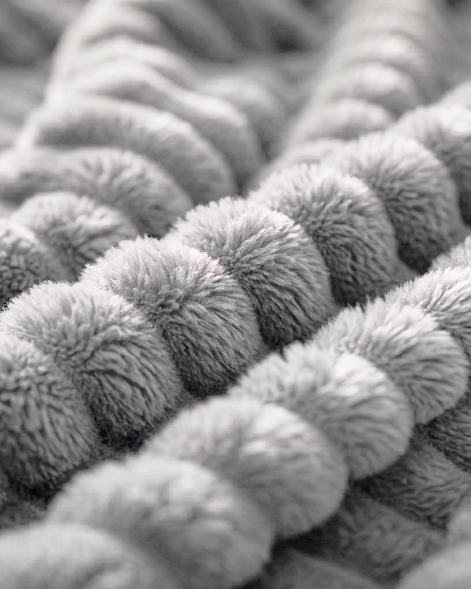 The Original Fleece Blanket (B1G1)