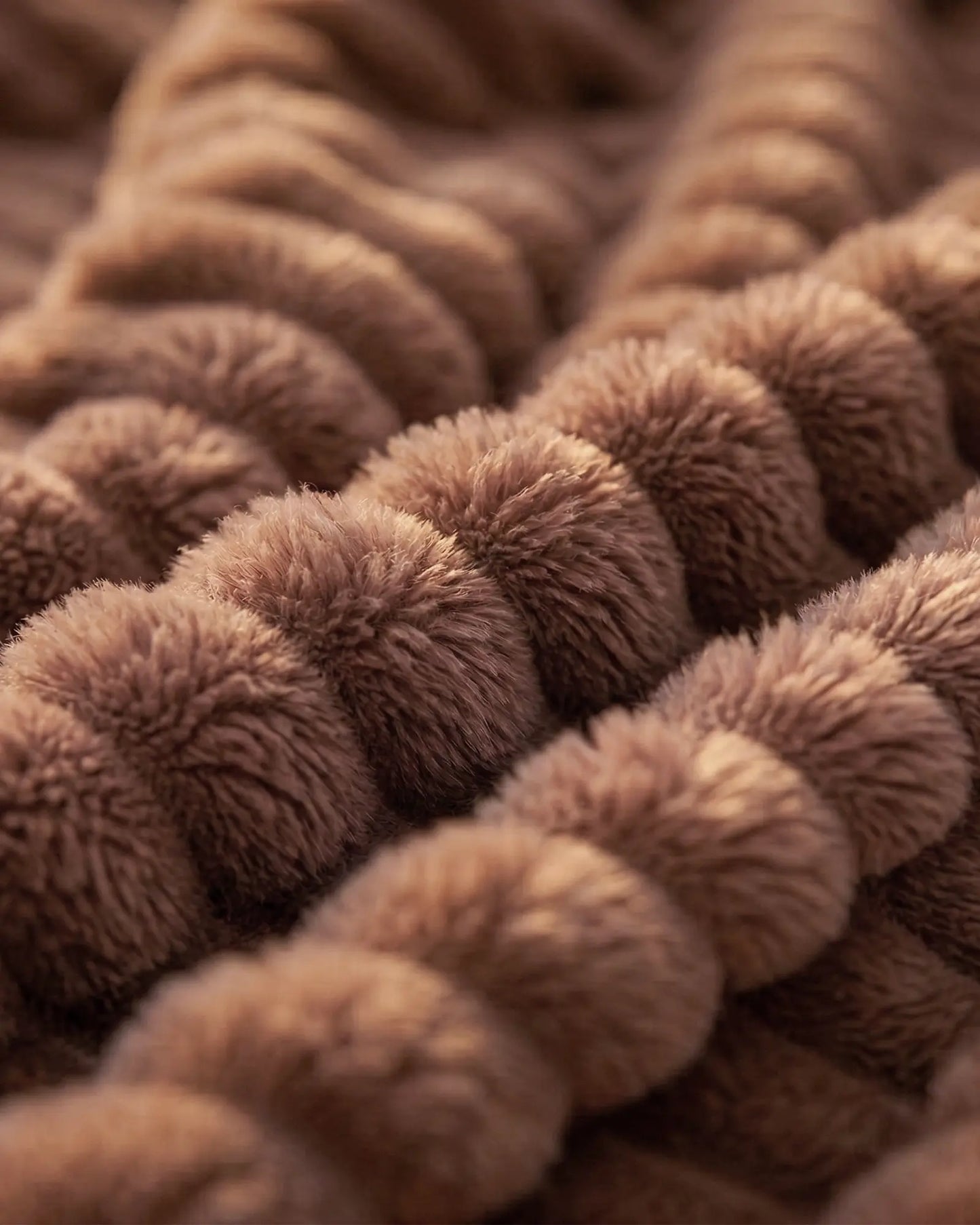 The Original Fleece Blanket (B1G1)
