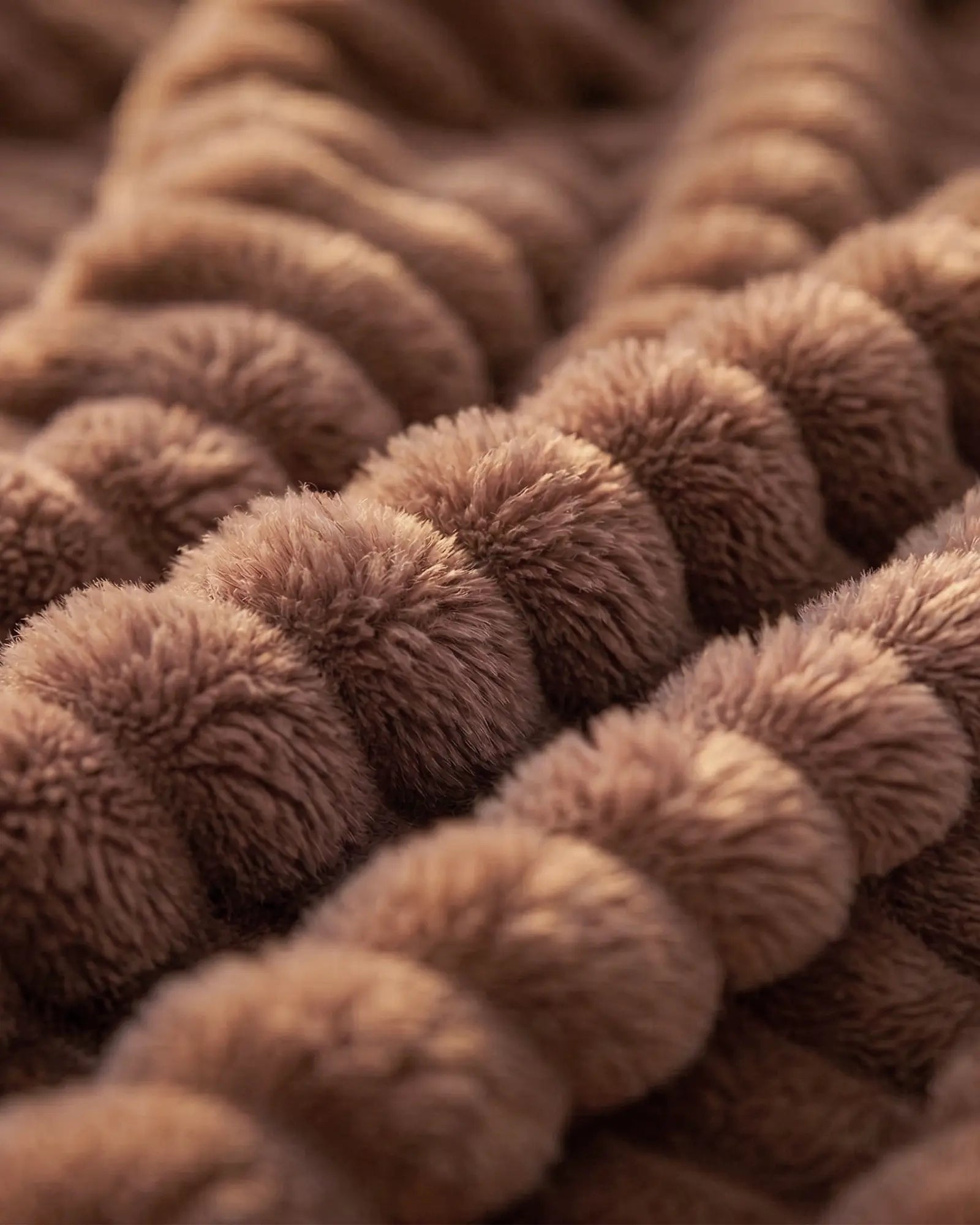 The Original Fleece Blanket (B1G1)